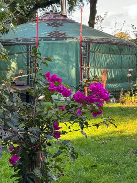 Authentieke Yurt❤️ Alle seizoenen een feest!