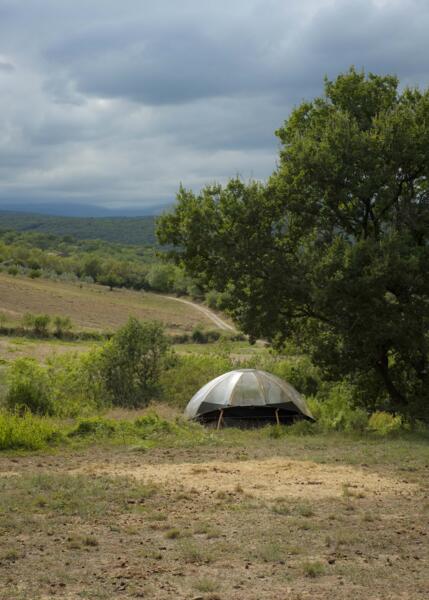 Een bijzonder verblijf in een tipi of natuurbubbel en een gegarandeerde verandering van omgeving. afbeelding 1