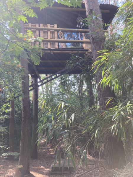 Open boomhut in Balen natuurgebied: Voor avontuurlijke kampeerders