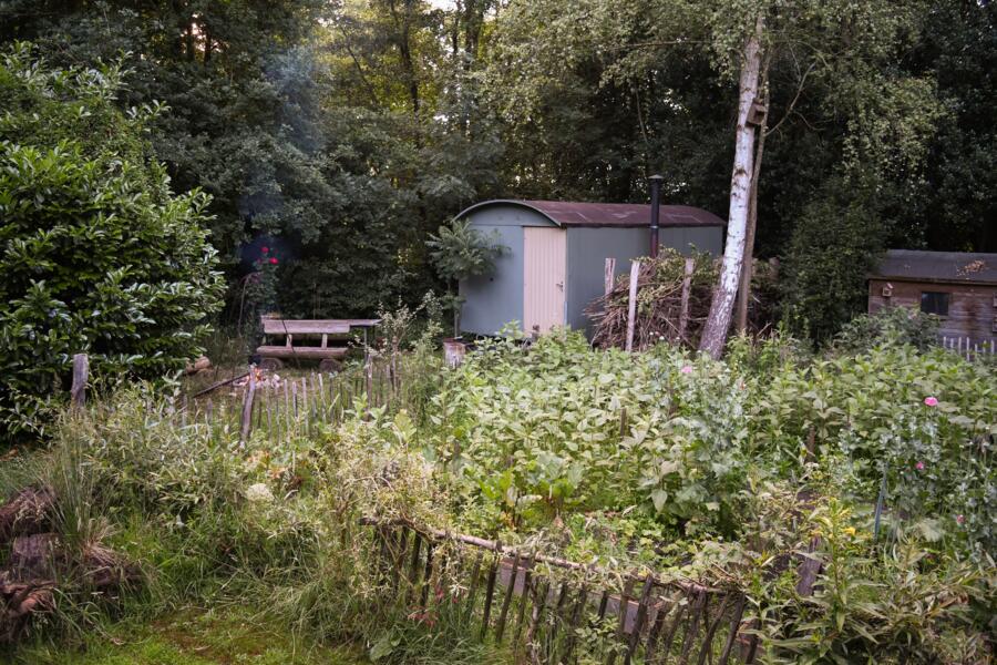 Boerencamping met zwemvijver, Bathmen