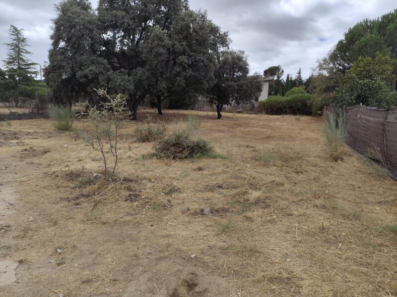 Kampeerplaats in Colmenar del Arroyo, Madrid