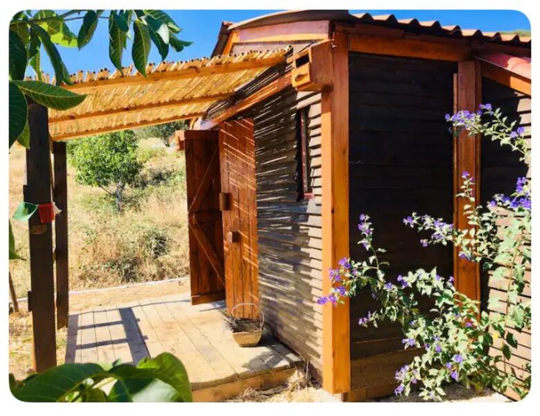 Uitzicht op de rivier de Taag en de rijstvelden