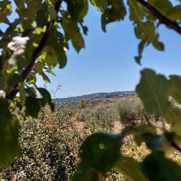 Toevlucht off-grid tussen bergen