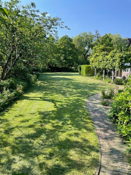 Aan de berkel, midden in het centrum van Borculo
