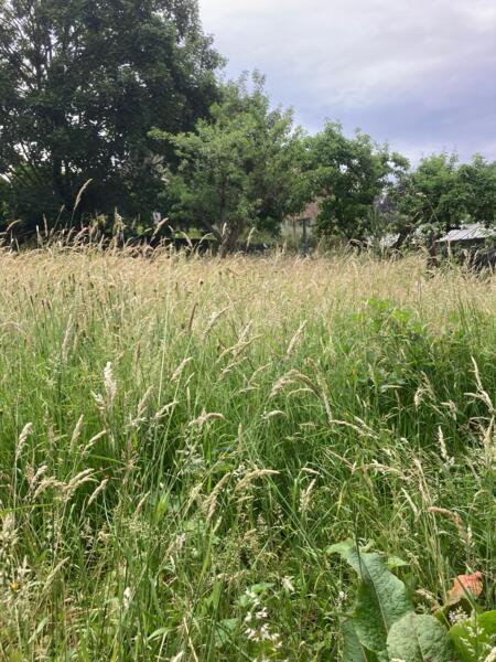 Kampeerplaats in Silenrieux