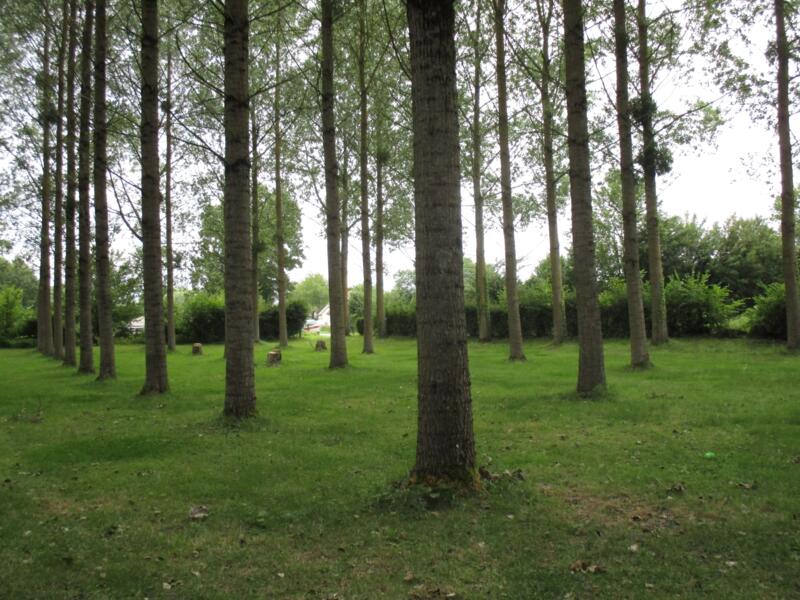 Campspace in Cilly, Hauts-de-France afbeelding