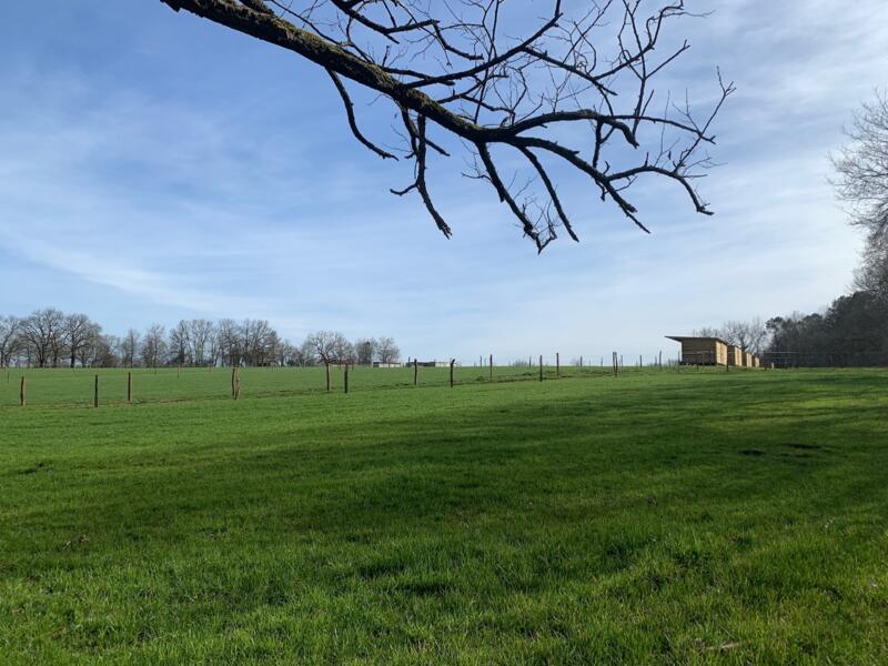 Campspace in Cazaubon, Occitanie