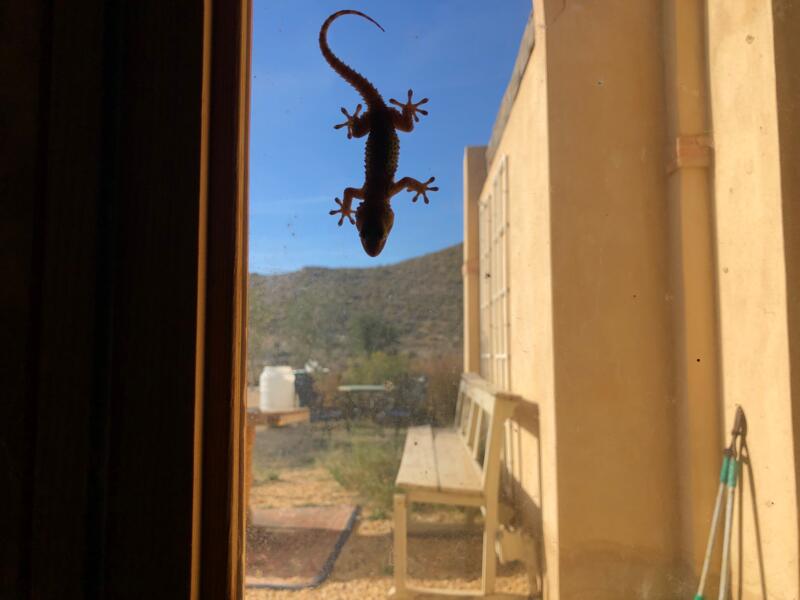 Rustige kampeerplaats in de campo van El Campello, Alicante