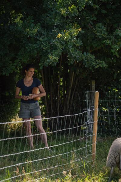 Basic kamperen op de wei, nabij Kortrijk. afbeelding