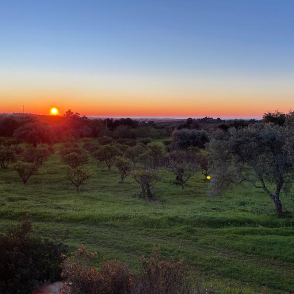Heerlijke natuur oase met vele fruitbomen en zeezicht
