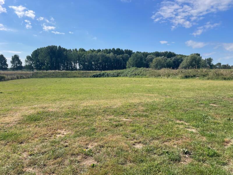 Campspace in Wamel, Gelderland afbeelding