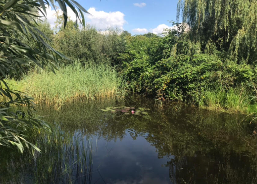 Small paradise with 3 sweet sheep 🐑🐑🐑