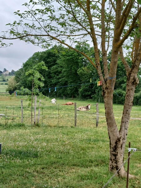 Kampeerplaats in Saint Maixant (33490), Nouvelle-Aquitaine