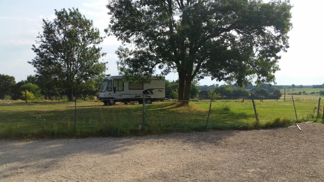 Uitzicht in de verte en paardenweide