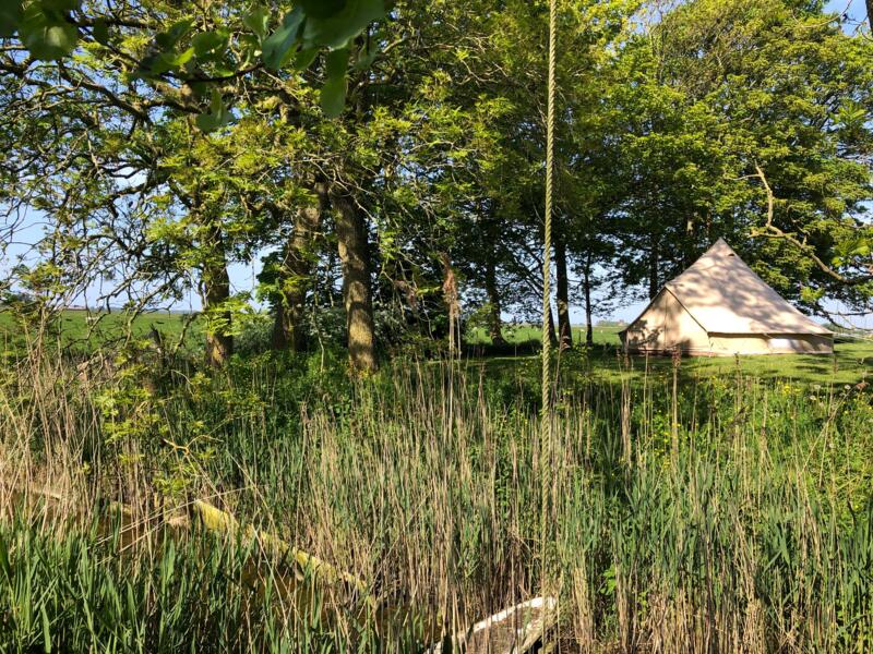 Kamperen in de fruitboomgaard van Hoopmanna's Pleats afbeelding
