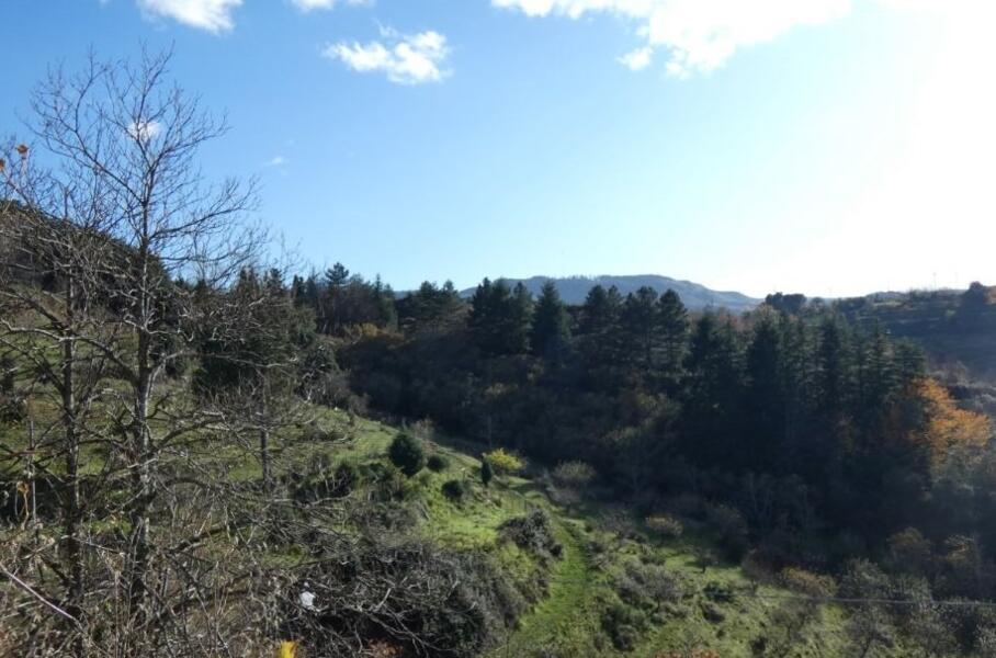 In het hart van Nebrodi, op een steenworp afstand van de Etna