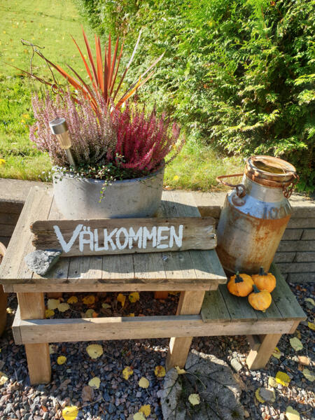 Casa Gräppås - Ontspannen kamperen in het bos afbeelding