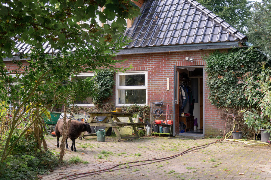 Gronings genieten van rust en ruimte. afbeelding 1