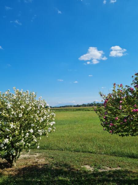 Natuurcamping in Ettenau afbeelding