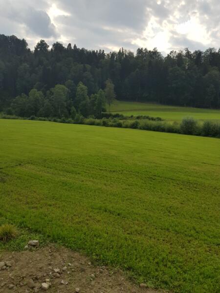 Natuurcamping aan de rivier