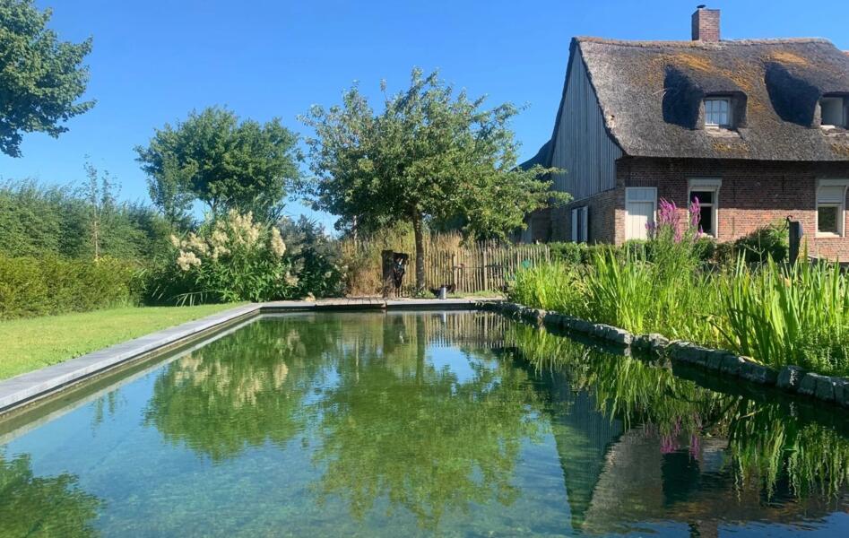 Campspace in Watou, West-Vlaanderen afbeelding 1