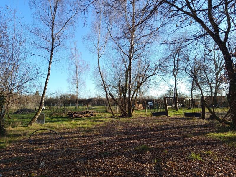 Kampeerplaats in Saint-Genès-de-Lombaud, Nouvelle-Aquitaine afbeelding 1