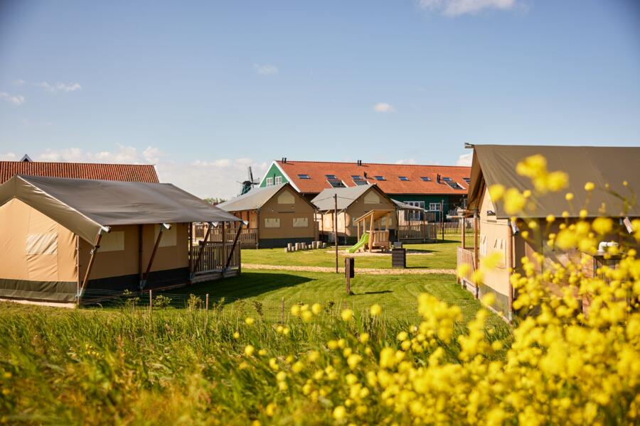 Glamping aan het Uitgeestermeer