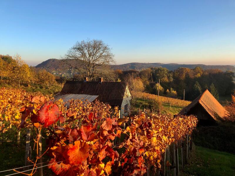 Kamperen in de wijngaarden van het zuidoosten van Eggenmark