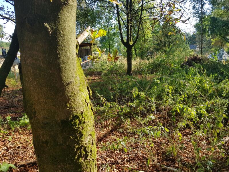 Natuur, paarden, stilte, verbinding