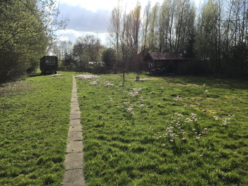 Campspace in Ekehaar, Drenthe