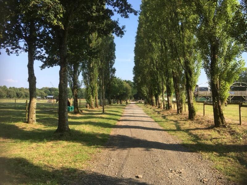 Camping mit Pferden in der Bretagne.