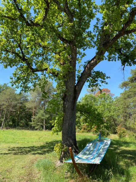 Kampeerplek in Tourrettes, Provence-Alpes-Côte d'Azur afbeelding 1