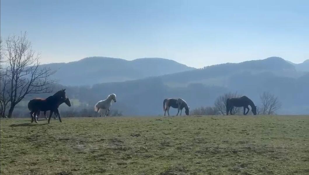 Campspace in Wisen, Basel-Landschaft