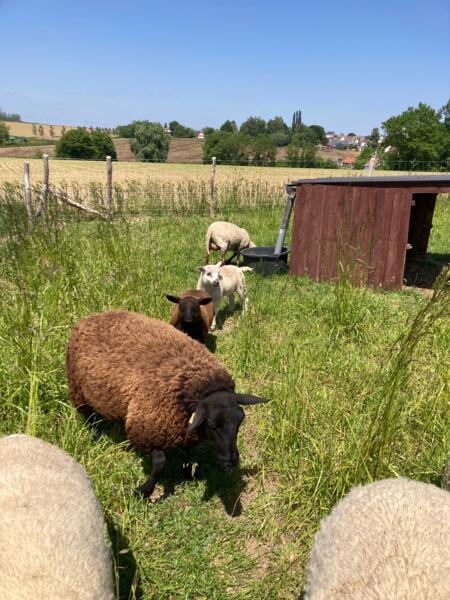 Kom midden in de velden de zonsondergang bewonderen....