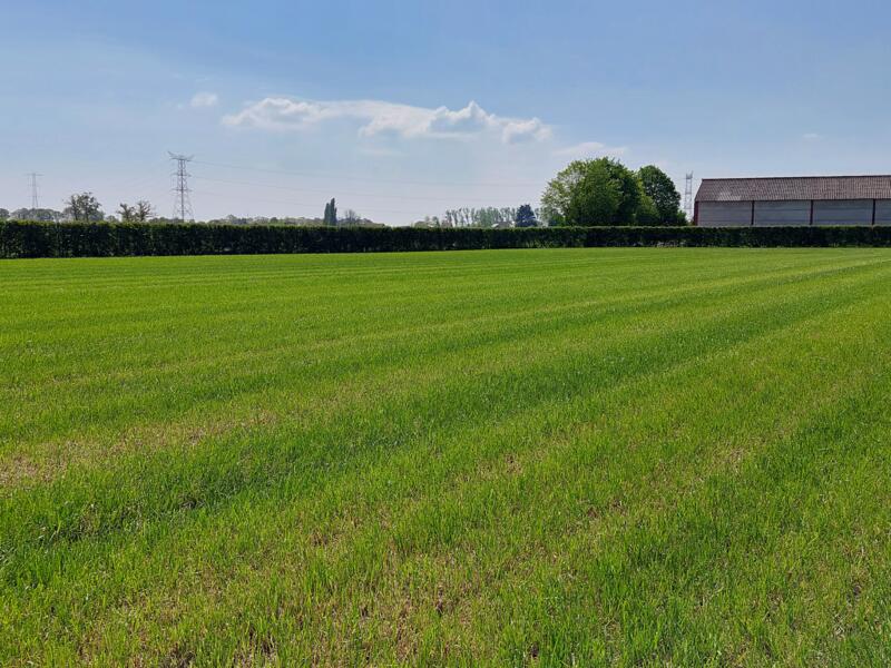 Ervaar de rust in Kinrooi