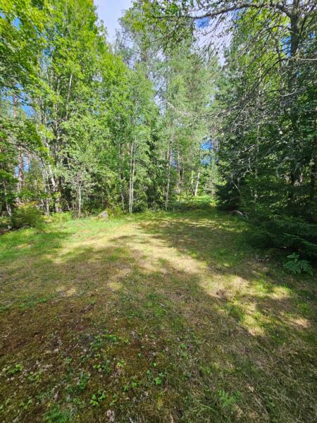 Campspace in Gullringen, Kalmar County afbeelding