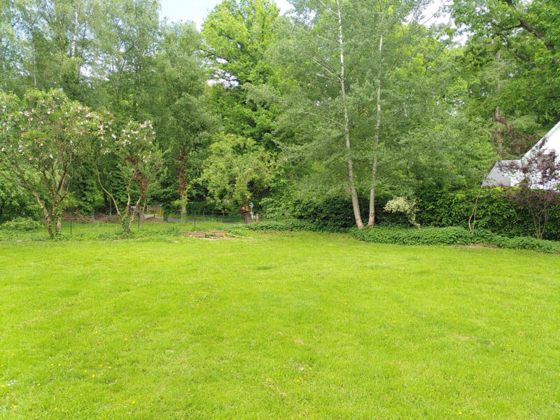 Pauze in een bosrijk gebied