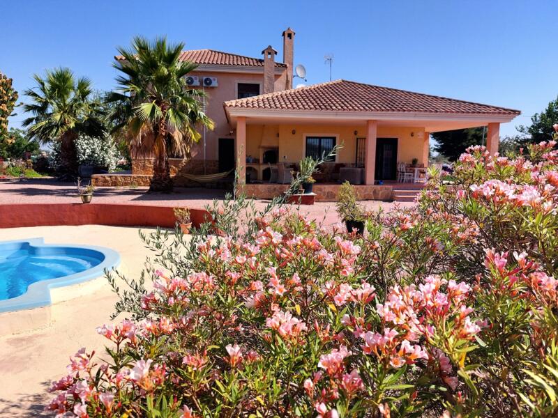 Campspace in Daya Nueva, Alicante