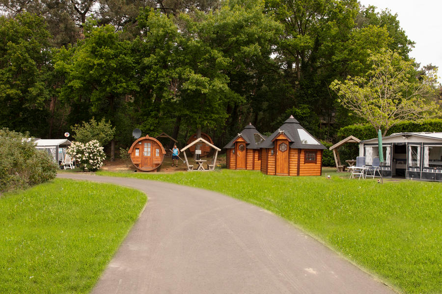 Campspace aan Brabantse wal in natuurrijke omgeving afbeelding 1