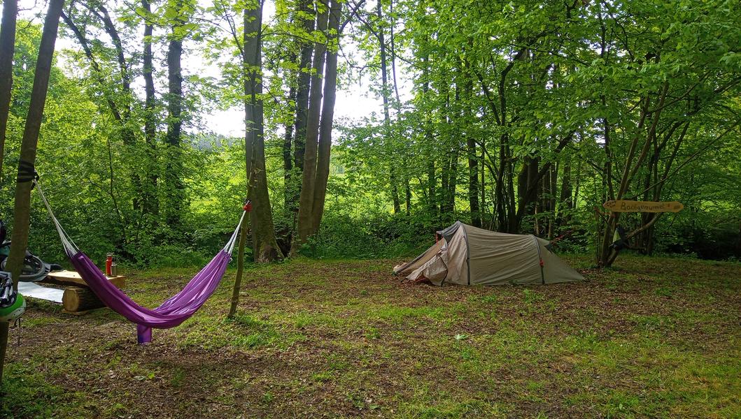 Naturcamping im Wald in Sachsen