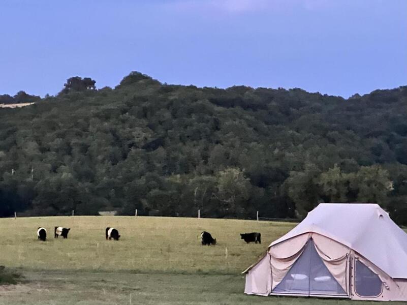Glamping à la Ferme in Bassoues, Occitanië