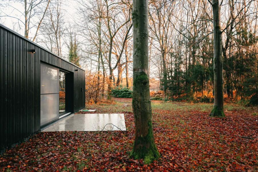 forest 🏕️ stopersbos