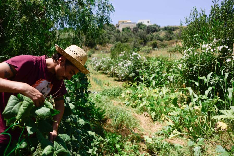 Kampeerplaats in Alcamo, Trapani afbeelding