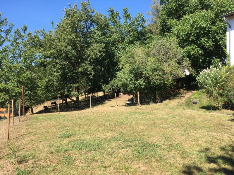 Grote tuin met schapen en kippen aan de bosrand in Kaiserslautern afbeelding