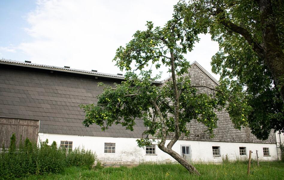 Boerderij in Salzburg