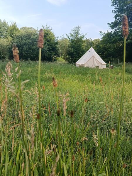 De Zwarte Watervlakte 🏞️⛺🌳 afbeelding 1