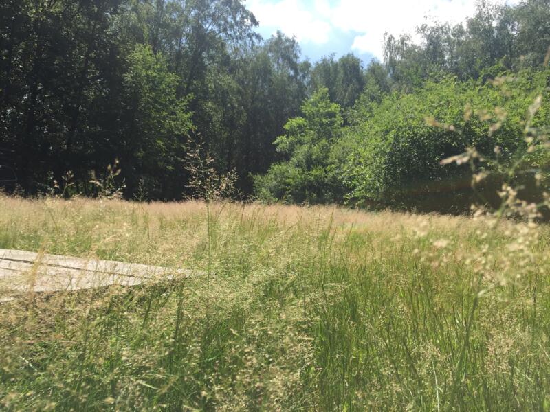 Tussen beek, boer en trein afbeelding 1
