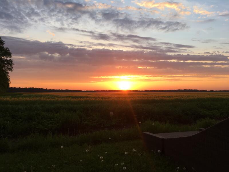 Fantastische plek op een afgelegen locatie in Muchow afbeelding