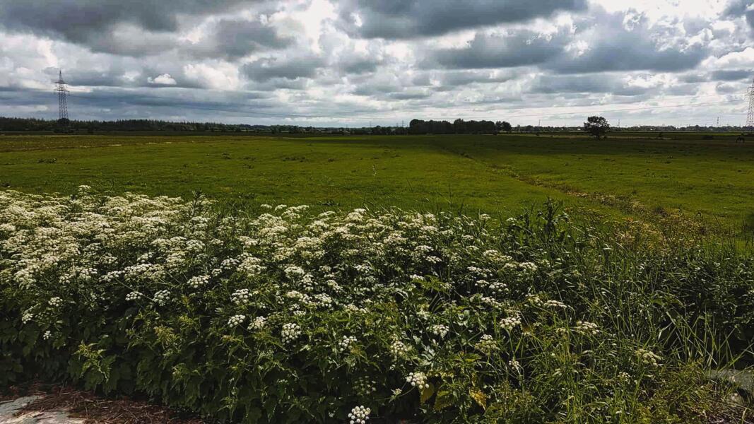 Campspace in Enge-Sande, Sleeswijk-Holstein