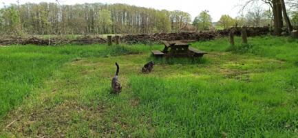 Camping bei Privatleuten